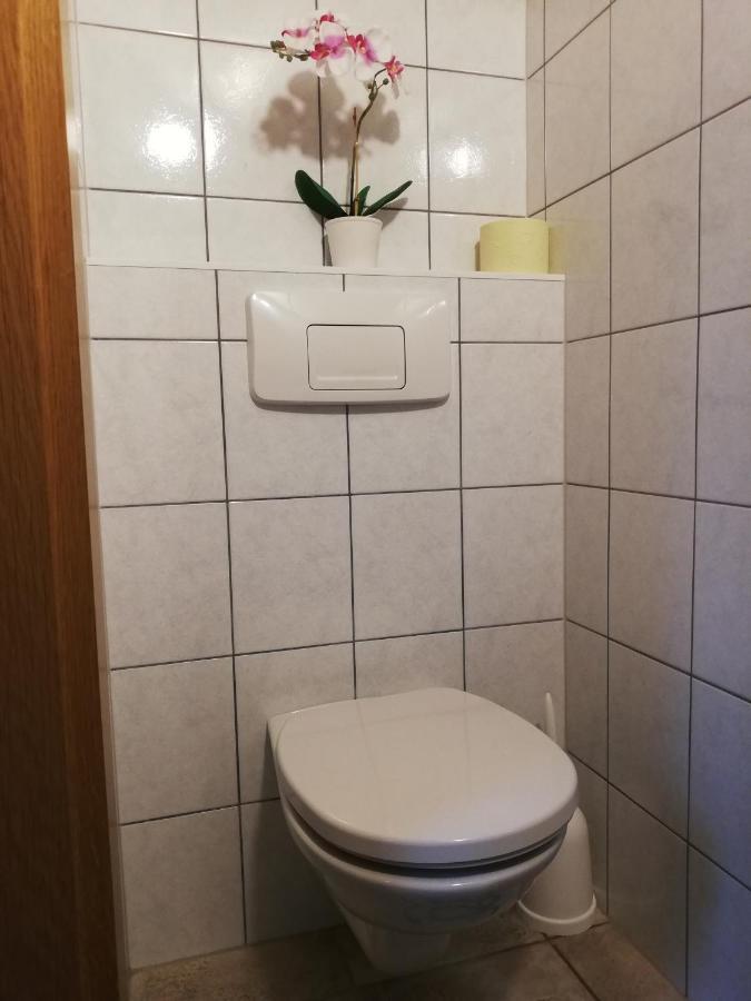 Apartment Natur Herz Haus im Ennstal Zewnętrze zdjęcie