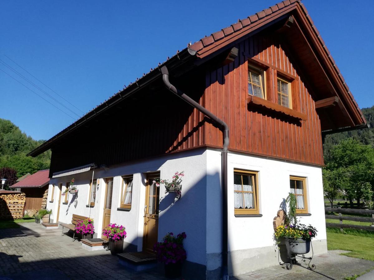 Apartment Natur Herz Haus im Ennstal Zewnętrze zdjęcie