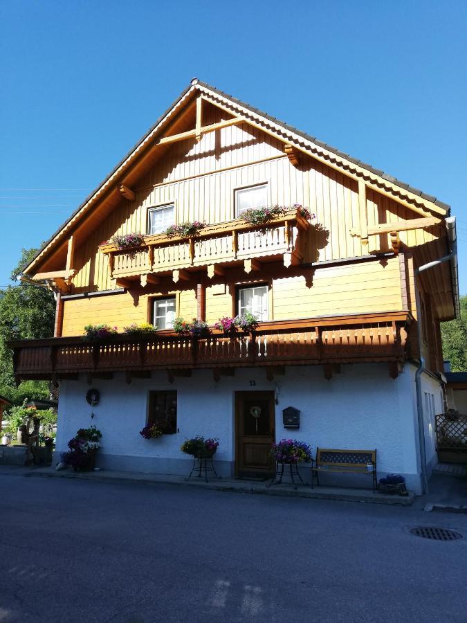 Apartment Natur Herz Haus im Ennstal Zewnętrze zdjęcie