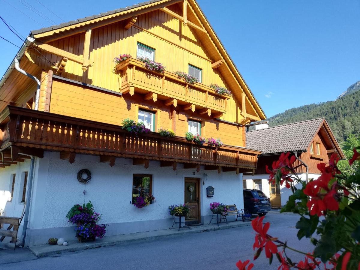 Apartment Natur Herz Haus im Ennstal Zewnętrze zdjęcie