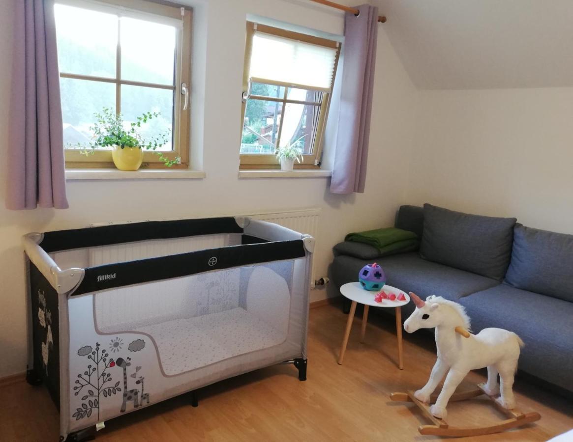 Apartment Natur Herz Haus im Ennstal Zewnętrze zdjęcie