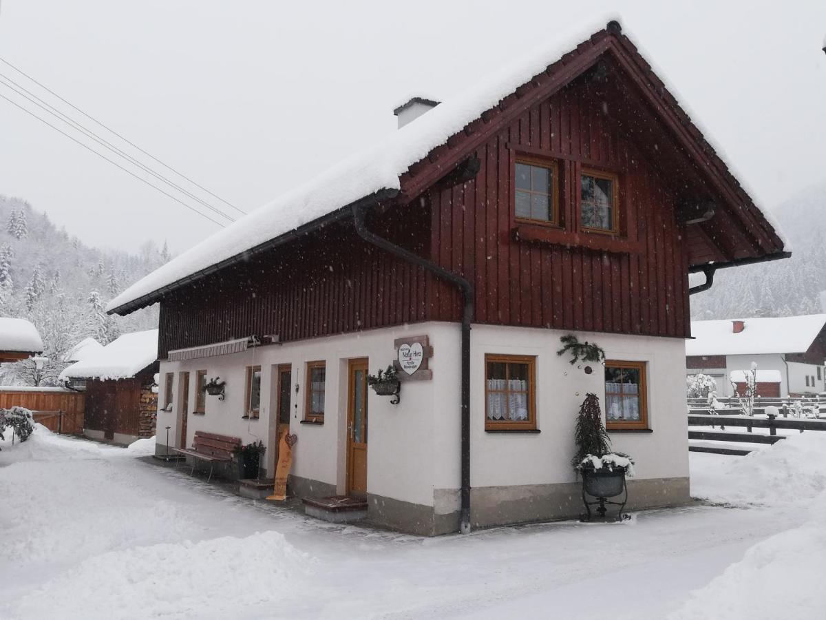 Apartment Natur Herz Haus im Ennstal Zewnętrze zdjęcie